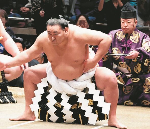 豊昇龍